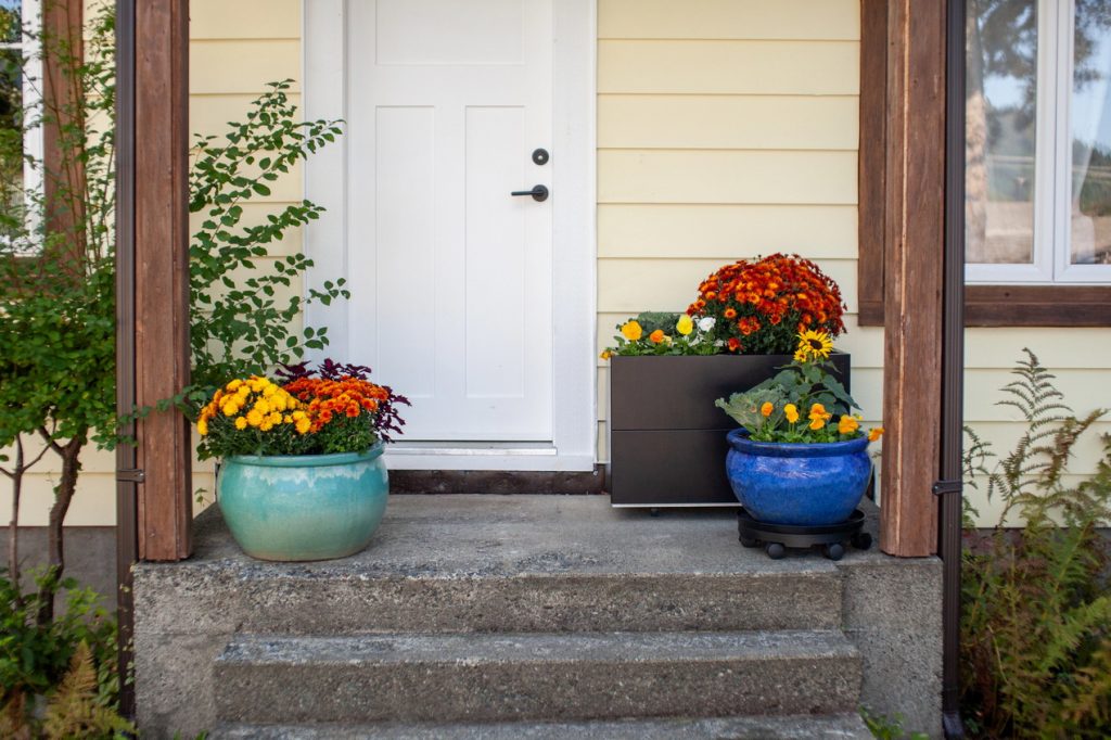 front of your home door plants containers