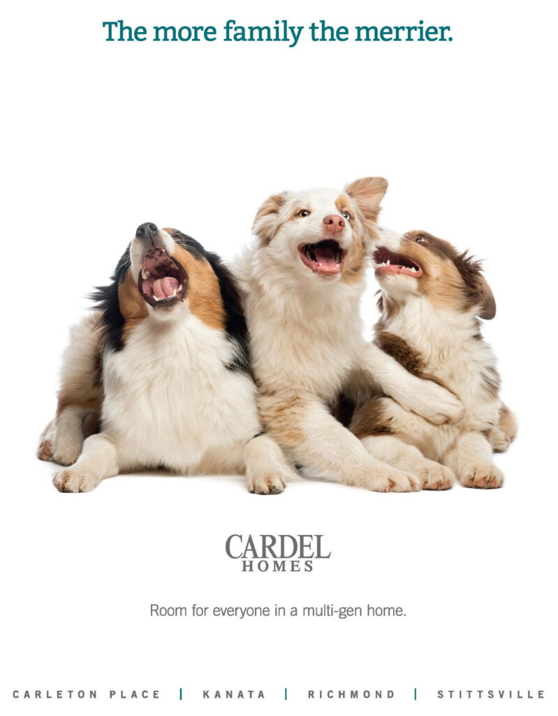 dogs in ads cardel homes