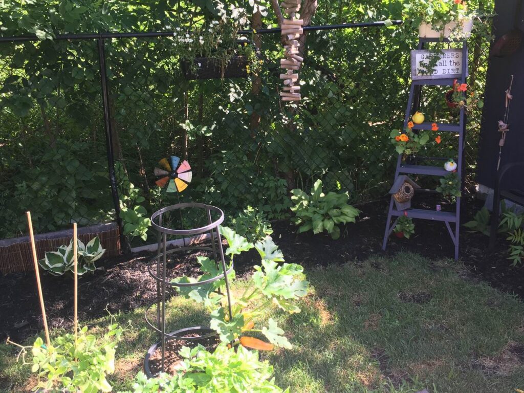Sue Pitchforth Decor Therapy Plus backyard space