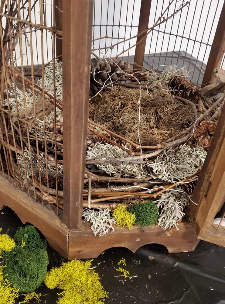 sue pitchforth home decor therapy plus bird cage nature decor