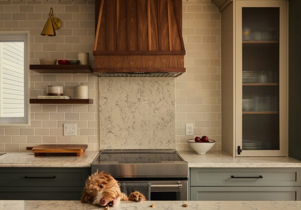 Uncommon Ottawa suite spot design dog photo kitchen