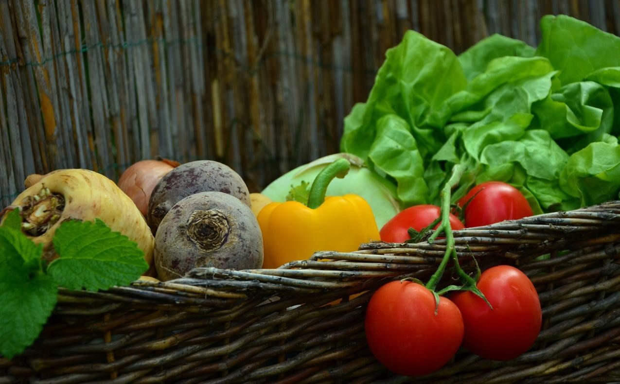 vegetable gardening