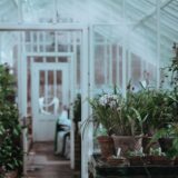 GAR gardening trends greenhouse