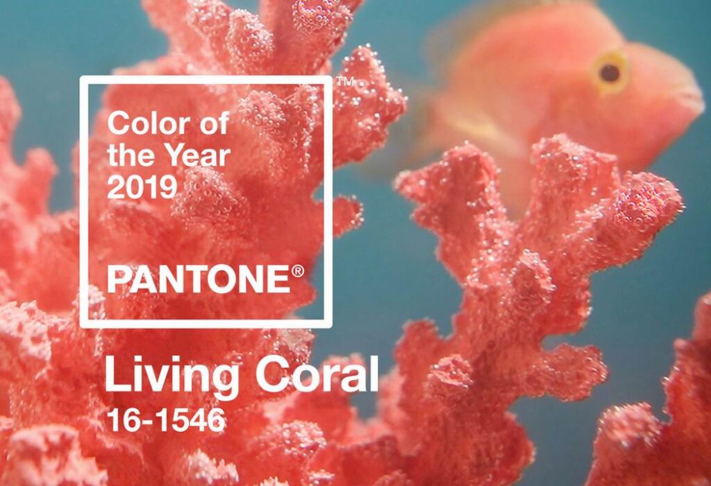 landscaping ideas Ottawa Pantone color of the year living coral