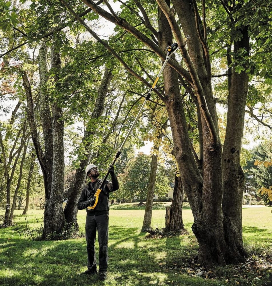 steve maxwell home improvement pole saw tree pruning