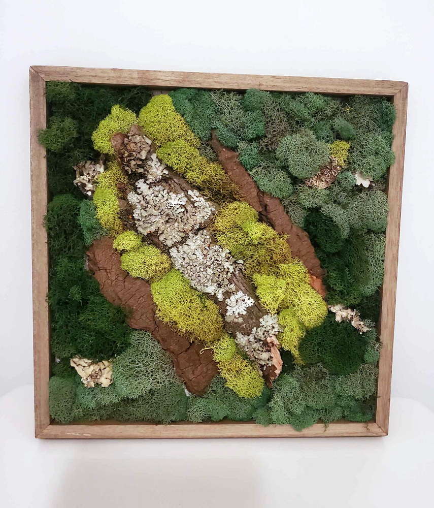 sue pitchforth home decor therapy plus moss art