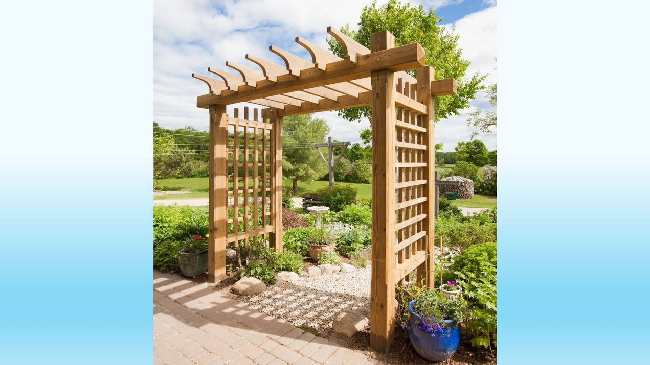 pergola steve maxwell
