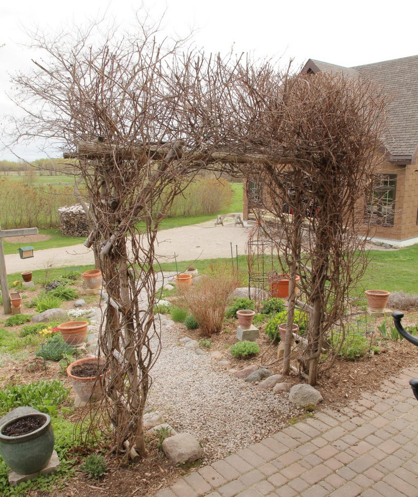 pergola steve maxwell