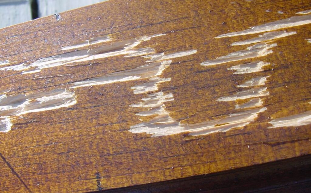 damaged wood