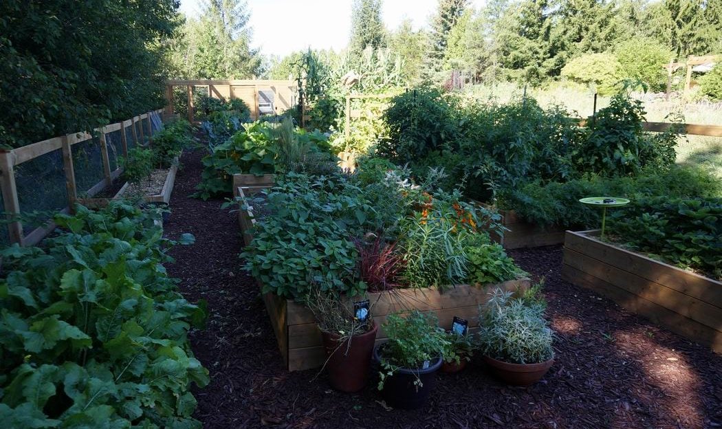 Raised vegetable planters