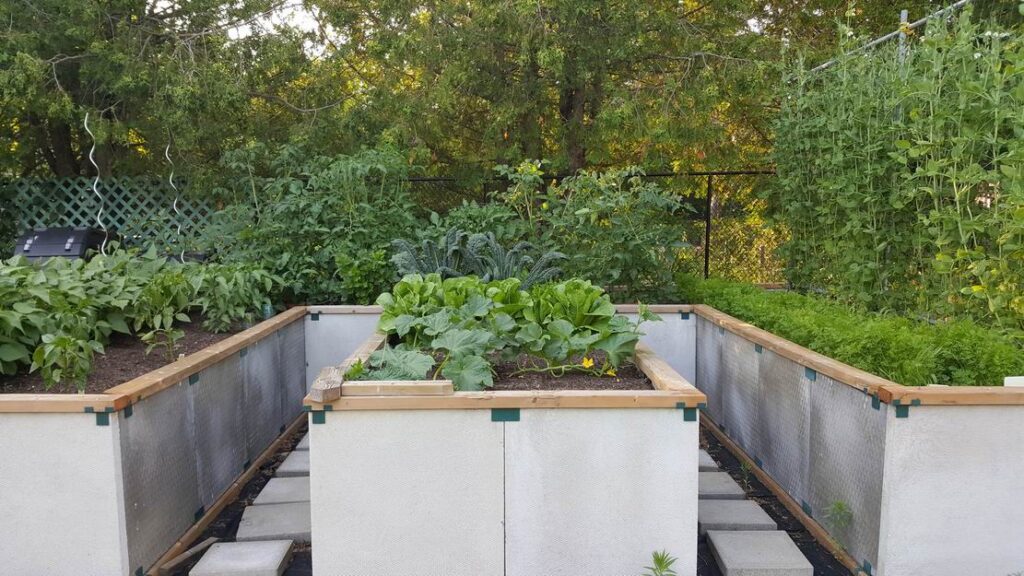 raised vegetable planters vegetable gardens