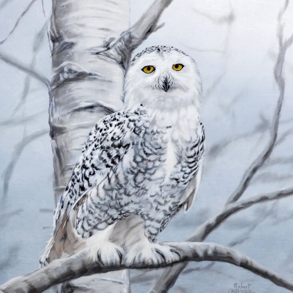 2023 Signatures Originals Robert Bishop’s Artwork Wonders Ottawa craft show owl painting