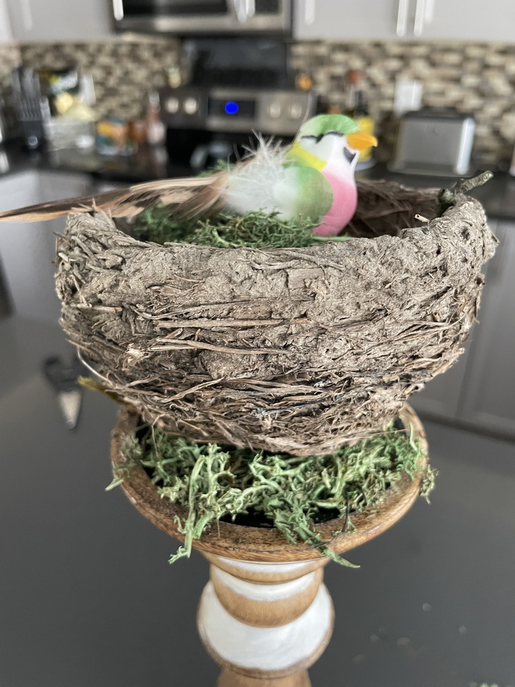 spring decor ideas sue pitchforth decorating bird's nest