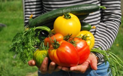 vegetable gardening during the pandemic