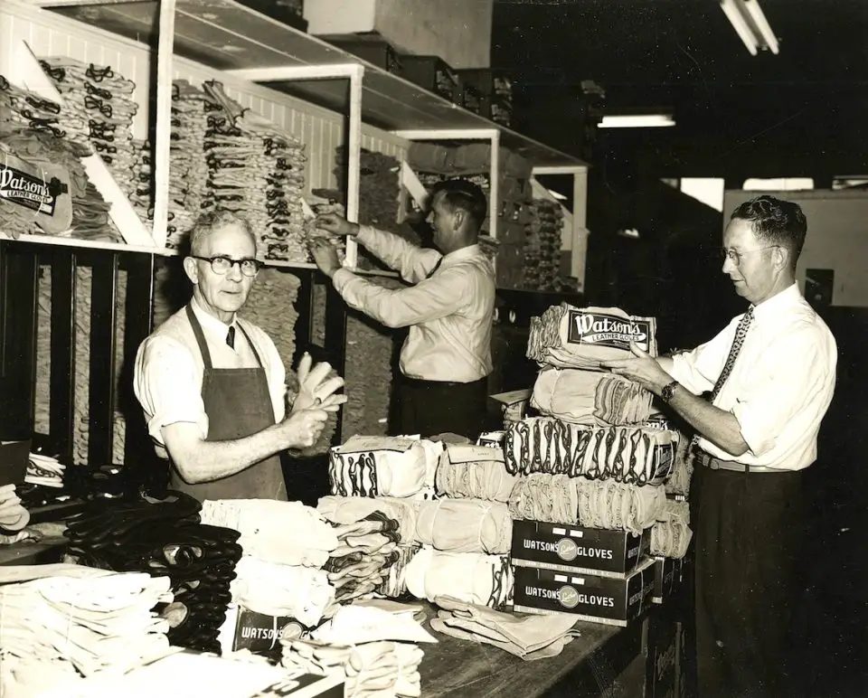 Watson glove store